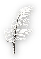 Wind Plain Auto Finance